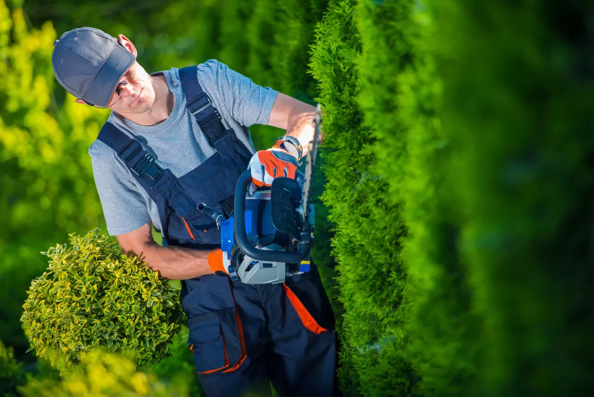 Nettoyage de jardin - Services de jardinage
