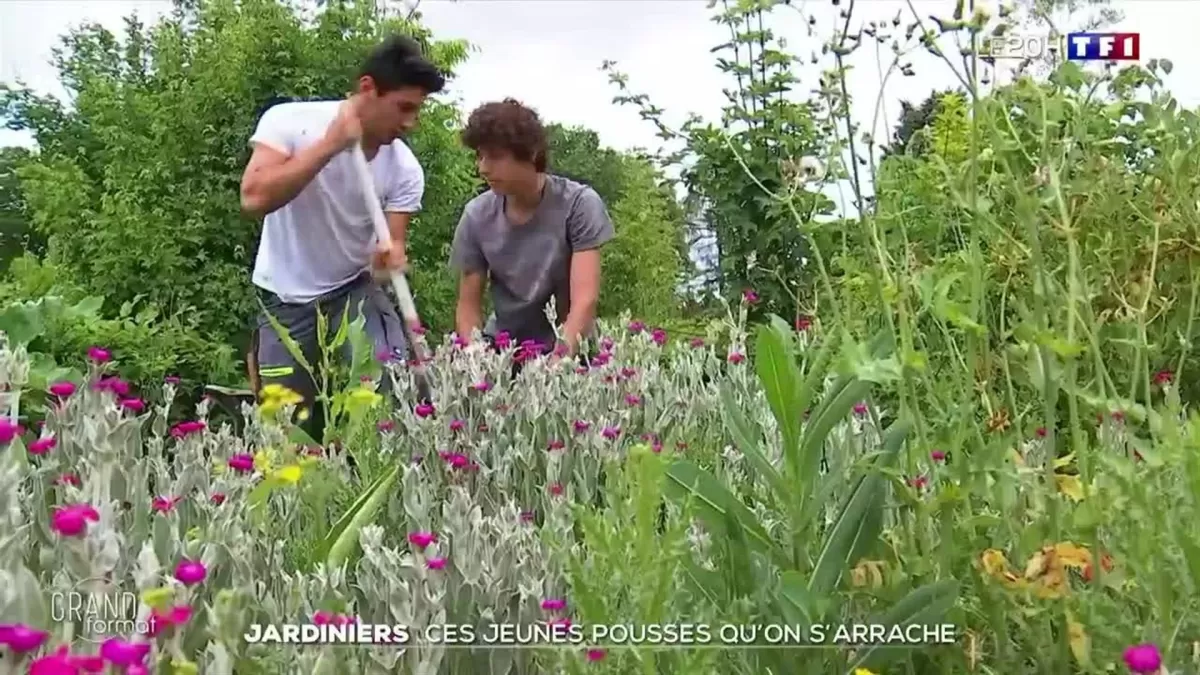 Nettoyage de jardin - Services de jardinage