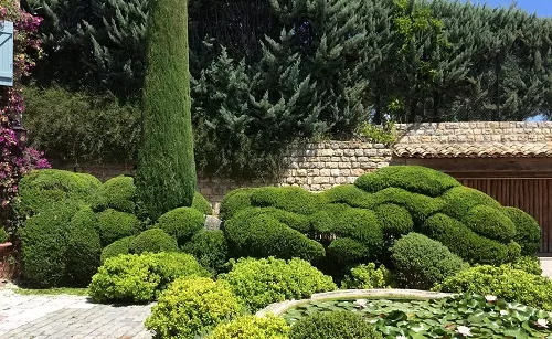 Nettoyage jardin