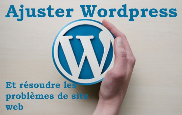 Révision de Wordpress, tout type d'édition et dépannage du site