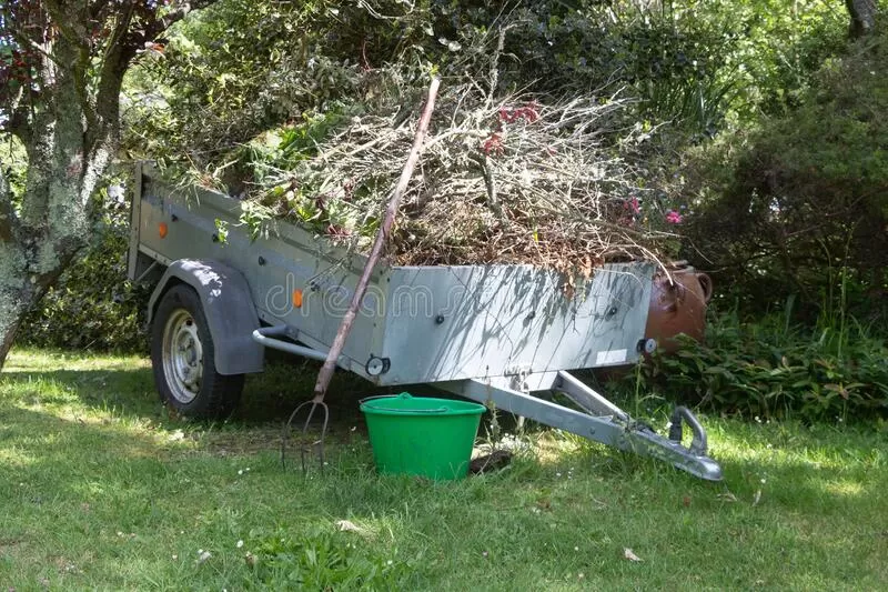 Nettoyage de jardin - Services de jardinage