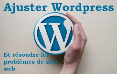 Révision de Wordpress, tout type d'édition et dépannage du site