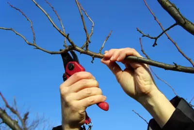 Nettoyage de jardin - Services de jardinage