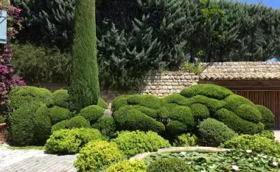 Nettoyage jardin